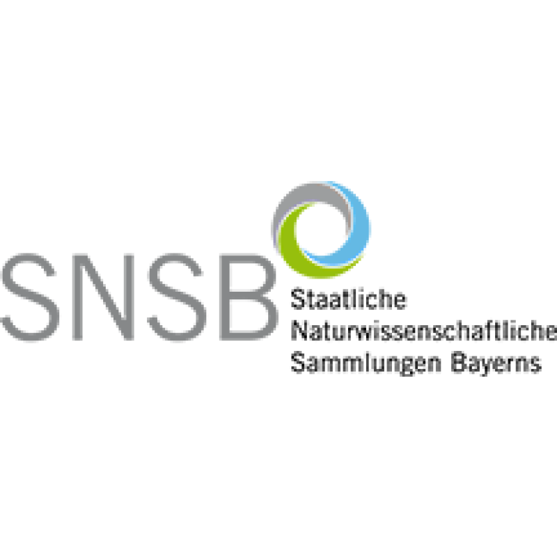 snsb.de