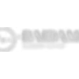 Baidam Solutions logo