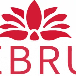 ebru logo