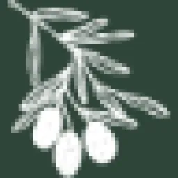 StoaCentral logo