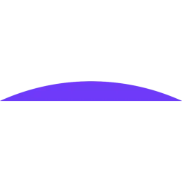 PayPa Plane logo