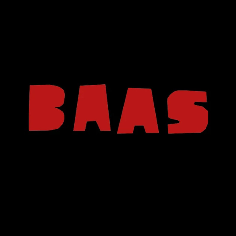 MAARTEN BAAS