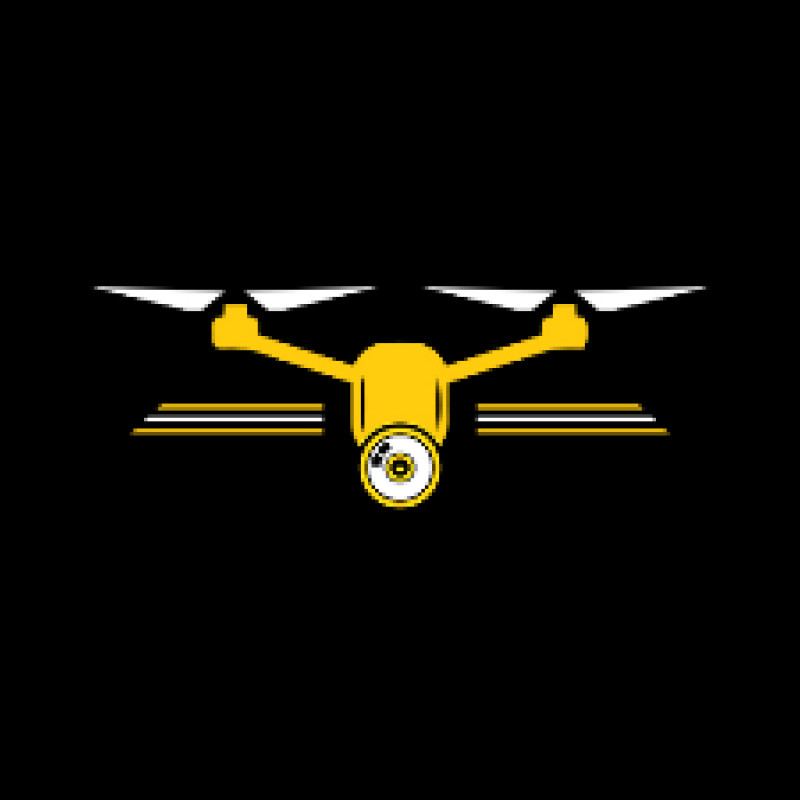 thedroningcompany.com