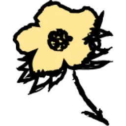 Kotn logo