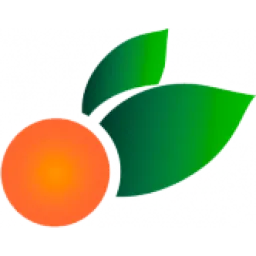 Cido logo
