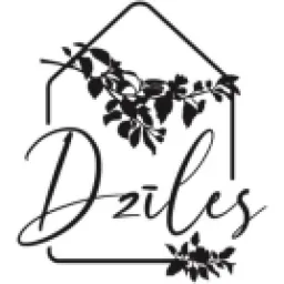 DZĪLES.LV logo