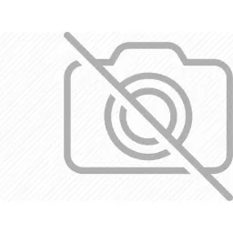 Durvis logo
