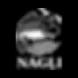 AS NAGĻI logo
