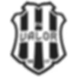 FK VALOR logo