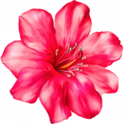 Masāžas Liepājā! logo
