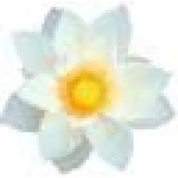 Romantiska SPA atputa diviem - SPA piedavajumi logo