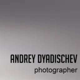 dyadischev.lv logo