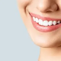 Akribija logo