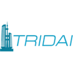 TRIDAI: Строительство и недвижимость logo