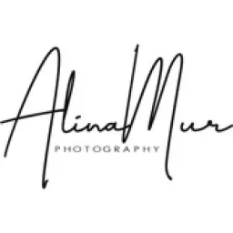 alinamur.lv logo