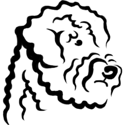 Arivi Paisumi logo