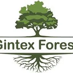 Gintex Forest logo