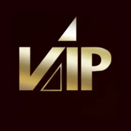 Vip Style logo