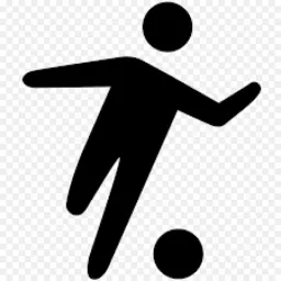 Vidzemes sports logo