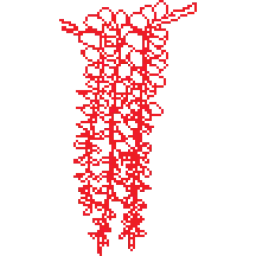 Akacija.lv logo