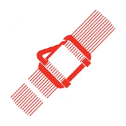 strappingcompany logo
