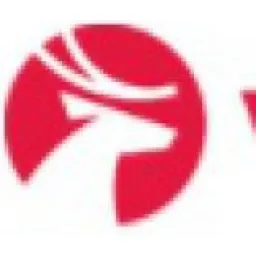 Viada logo