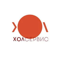 Hollservis logo