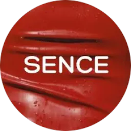 SENCE.PROD logo
