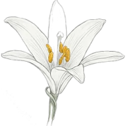 "Resa" apbedī&scaron;anas birojs logo