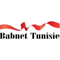 Babnet logo