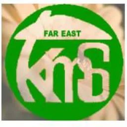 Kababayan Far East Manpower & Services logo