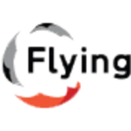 Flying Ideas Pte logo