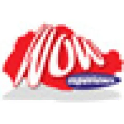 The WOW Experience Pte Ltd logo