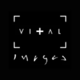 Vital Images logo