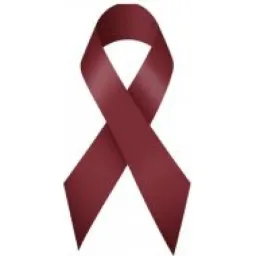Leukemia & Lymphoma Foundation logo