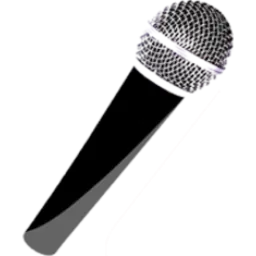 voiceovers.com.sg logo