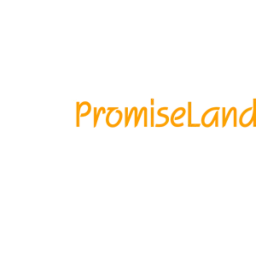 PromiseLand Financial Advisory Pte logo
