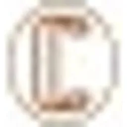 Copper Chimney logo