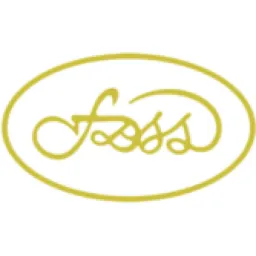 FDSS logo