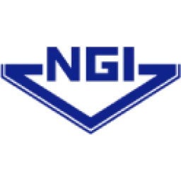 NGI logo