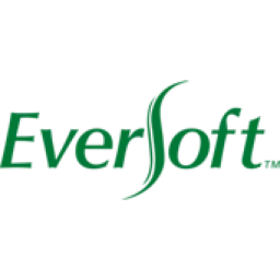 Eversoft logo