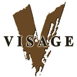 Visage The Salon logo