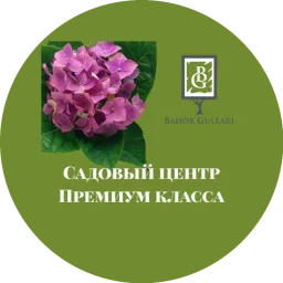 BAHOR GULLARI logo