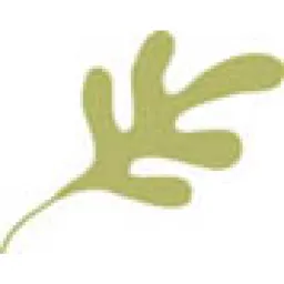 Wild Rocket logo