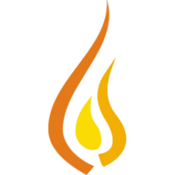 NPS International School logo