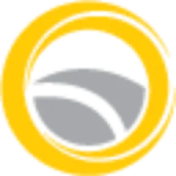 Risin International Pte Ltd logo