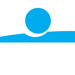 DZI logo