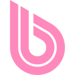 BWT logo