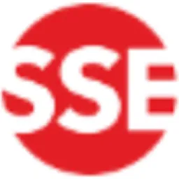 Shanghai Spetstekhnika logo