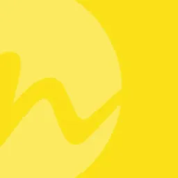 nedeco logo